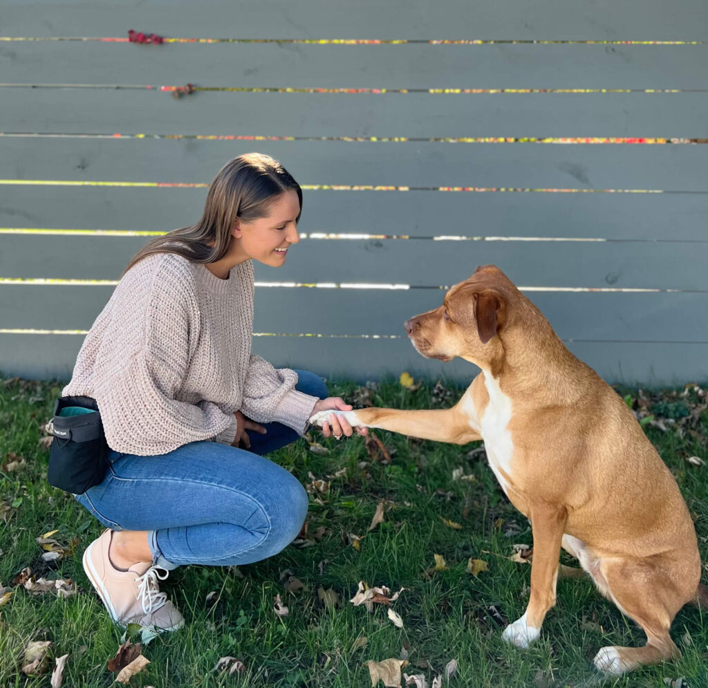 Spectacular Dog Trainers Albany Ny Picture Digital Art Spectacular Dog Trainers Albany Ny Picture Digital Art