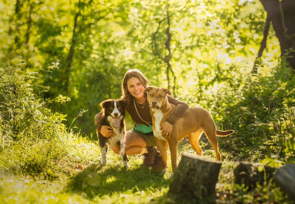 Stunning Dog Trainers Albany Ny Wallpaper Art Stunning Dog Trainers Albany Ny Wallpaper Art